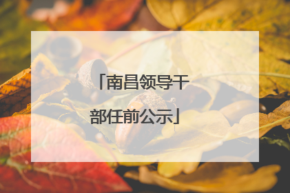 南昌领导干部任前公示